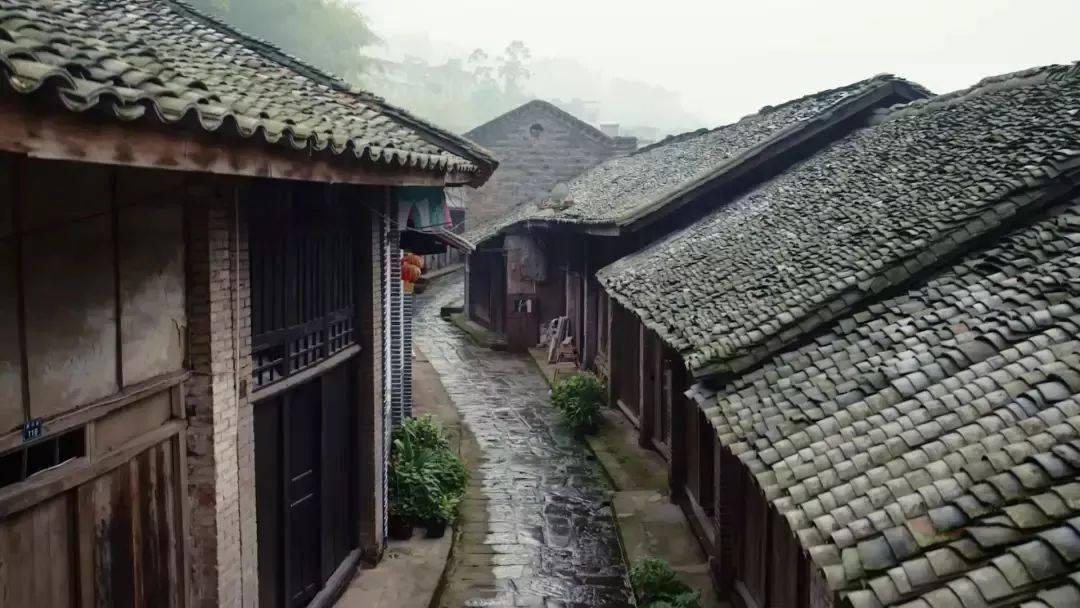 极地大逃亡